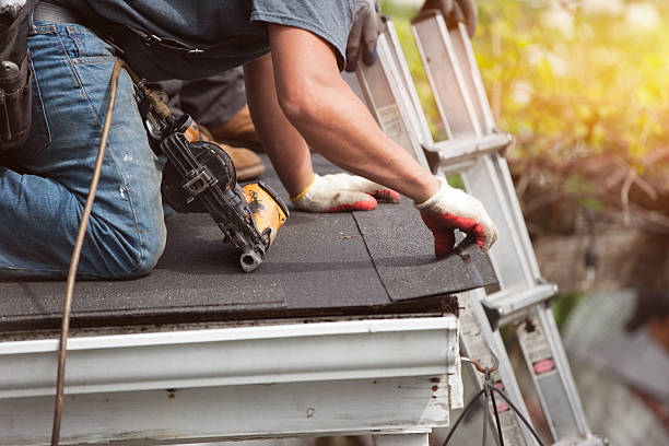 Roof Waterproofing Services in Waynesboro, GA